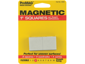 Pro Mag Square Magnets